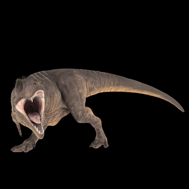 Dinosaurs in Mesozoic Era